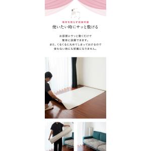 1年保証 バレエマット バレエ レッスンマット...の詳細画像3
