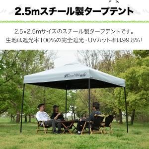 1年保証 タープテント 2.5m 完全遮光10...の詳細画像2