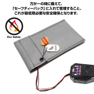GIGA TEC(ギガテック)EVOリポバッテ...の詳細画像1