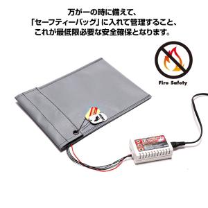 リポ セーフティバッグ Lサイズ|耐熱温度28...の詳細画像4