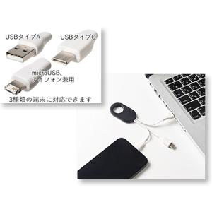 カラビナマルチUSBケーブル ノベルティ 名入...の詳細画像1