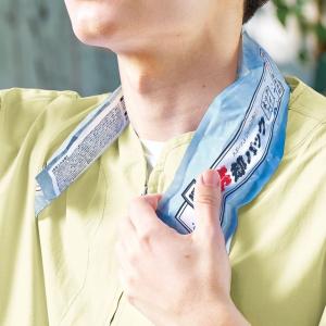 瞬間冷却パック　ネックタイプ　ノベルティ 名入れ 販促品 記念品 まとめ買い