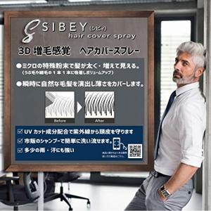 黒ばら本舗 シビィ ヘアカバースプレー アッシ...の詳細画像2