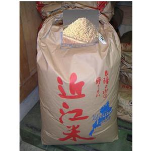 米 令和5年産近江キヌヒカリ玄米 １kgから量り売り 10kg以上で送料無料｜l-matsumoto-store