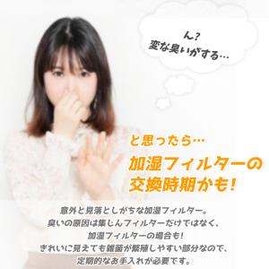FZ-G40SF 2枚入り空気清浄機 シャープ...の詳細画像1
