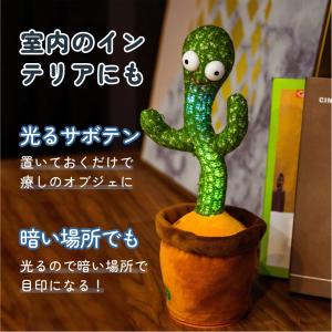 踊るサボテン おもちゃ ダンスサボテン 揺動サ...の詳細画像3