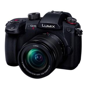 DC-GH5M2M パナソニック LUMIX GH5 II ミラーレス一眼カメラ 標準ズームレンズキット｜l-nana