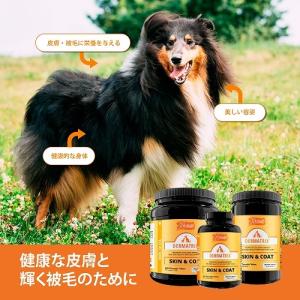P-0693554020459 ファンタジーワ...の詳細画像2