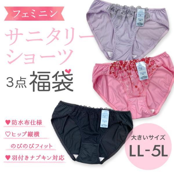下着 大きいサイズ レディース サニタリーショーツ 福袋 ３枚セット 昼用 羽付きナプキン対応 LL...