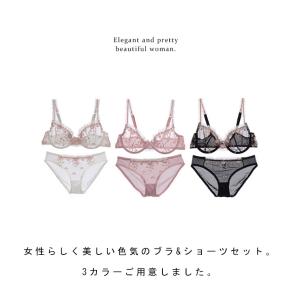 透けブラ 大きいサイズ レディース セクシー ...の詳細画像4