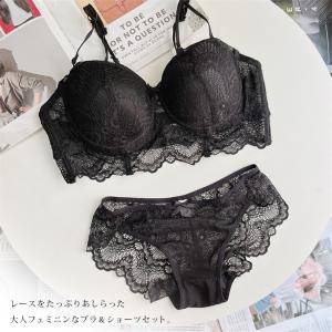 ブラジャー 大きいサイズ ショーツセット レデ...の詳細画像1