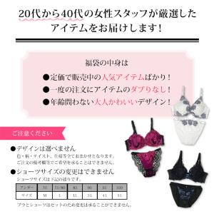 脇高ブラ 大きいサイズ 福袋 ブラショーツセッ...の詳細画像1
