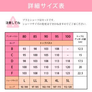 脇高ブラ 大きいサイズ 福袋 ブラショーツセッ...の詳細画像3