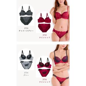 ブラショーツセット 大きいサイズ まとめ買い ...の詳細画像3
