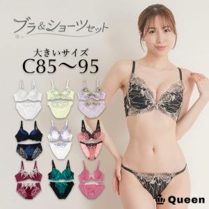 大きいサイズ ブラジャー ショーツセット レディース 下着 C85 C90 C95 モールドカップ 大きめアンダー ランジェリー｜l-size