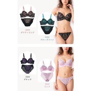 ブラジャー ブラショーツセット 脇高ブラ モー...の詳細画像2