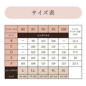 ブラショーツセット 楽ブラ ソフトワイヤー 上...の詳細画像5