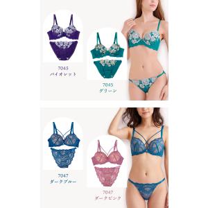 大きいサイズ ブラジャー ショーツセット レデ...の詳細画像2