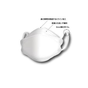 個包装 Hanassia(ハナッシア)3Dマス...の詳細画像2