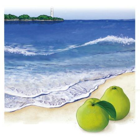 シャルティエアロマオイルオーシャン・ベルガモット【A1102】100ml　ランプベルジェ アロマラン...