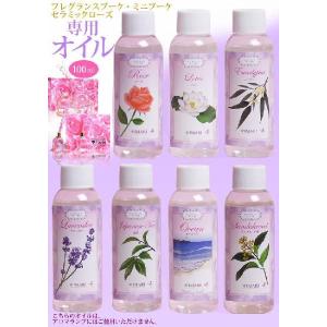 ランプベルジェ フレグランスオイル 青りんご 1000ml【A1301】正規品