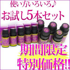 Noel（ノエル） ランプベルジェ対応 アロマオイル シャルティエ 1000ml