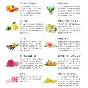 アロマオイル ランプベルジェ フレグランスオイ...の詳細画像2
