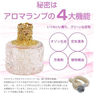 はじめてのアロマセット アロマオイル セット ...の詳細画像3