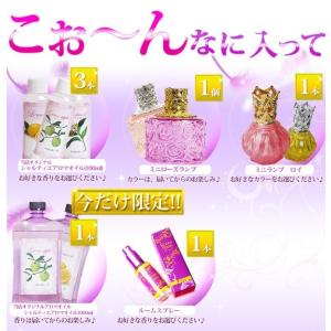クリーンセット ランプベルジェ対応 アロマグッ...の詳細画像1