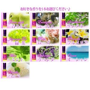クリーンセット ランプベルジェ対応 アロマグッ...の詳細画像4