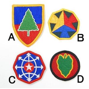 ＵＳ．カラー部隊章ワッペン（新品）６ BRANCH-CN6