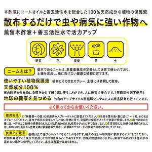 ニームオイル 忌避剤 無農薬への道 300mL...の詳細画像2