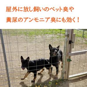 きえーる 屋外用 4L × 2個セット 消臭液...の詳細画像5