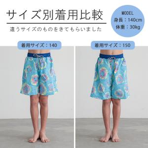 水着 男の子 水着 子供 キッズ 水着 サーフ...の詳細画像5