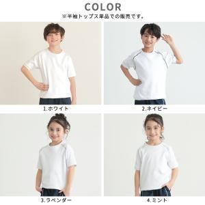 体操服 半袖 半袖体操服 トップス 半そで 速...の詳細画像4