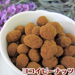 純正コーヒーピー（100g）本格コーヒー味【コーヒーピーナッツ】【ヨコイピーナッツ名古屋】