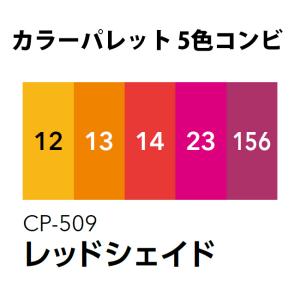 ツキネコ カラーパレット5色コンビ ブルーシェイド cp-507 : Bella