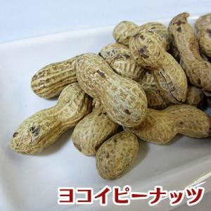 【落花生】1kg ピーナッツ さや付 殻付き【ヨコイピーナッツ名古屋】
