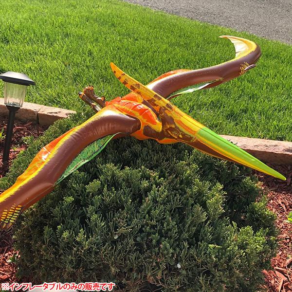 恐竜 プテラノドン インフレータブル 翼幅57インチ 約145cm ■ 空気ビニール玩具 インテリア...