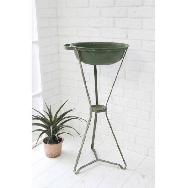 コベントガーデン エバーグリーン ベイスン 高さ80cm ■ COVENT GARDEN インテリア...