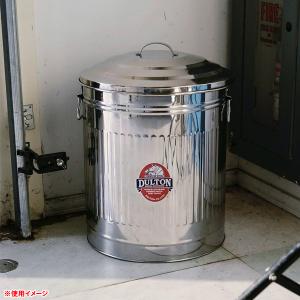 DULTON（ダルトン） ゴミ箱 ダストボックス DUST BIN SATIN FINISHED