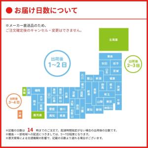 【メーカー直送】アイシー・スパーク フロム カ...の詳細画像1