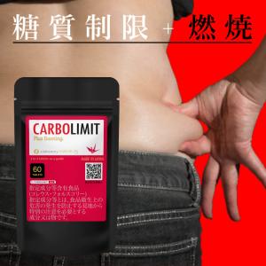 使えます プラスバーニング ダイエット サプリメント