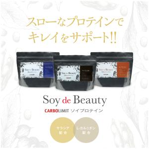51%オフクーポン使えます★【Soy de Beauty】おいしいプロテイン ソイプロテイン 大豆 プロテイン -SB