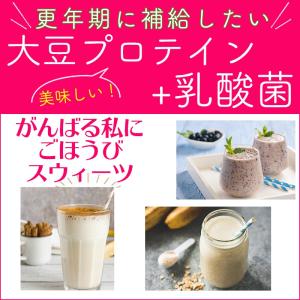 【在庫処分：賞味期限８月21日】プロテイン おすすめ イソフラボン 乳酸菌入り ソイプロテイン 大豆プロテイン -F1