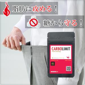 使えます送料込痩せるサプリメント 脂肪燃焼 サプリ