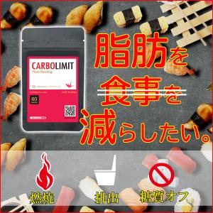 使えます送料込糖質制限サプリ 代謝 糖質オフ ギムネマ