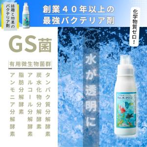 バクテリア 淡水海水両用 メダカ ディスカス ...の詳細画像1