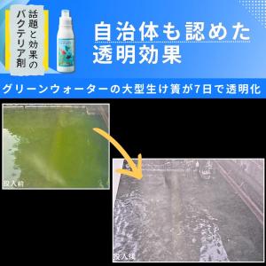バクテリア 淡水海水両用 メダカ ディスカス ...の詳細画像2