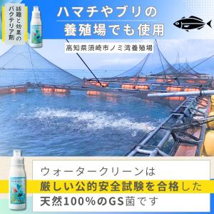 バクテリア 淡水海水両用 メダカ ディスカス ...の詳細画像3